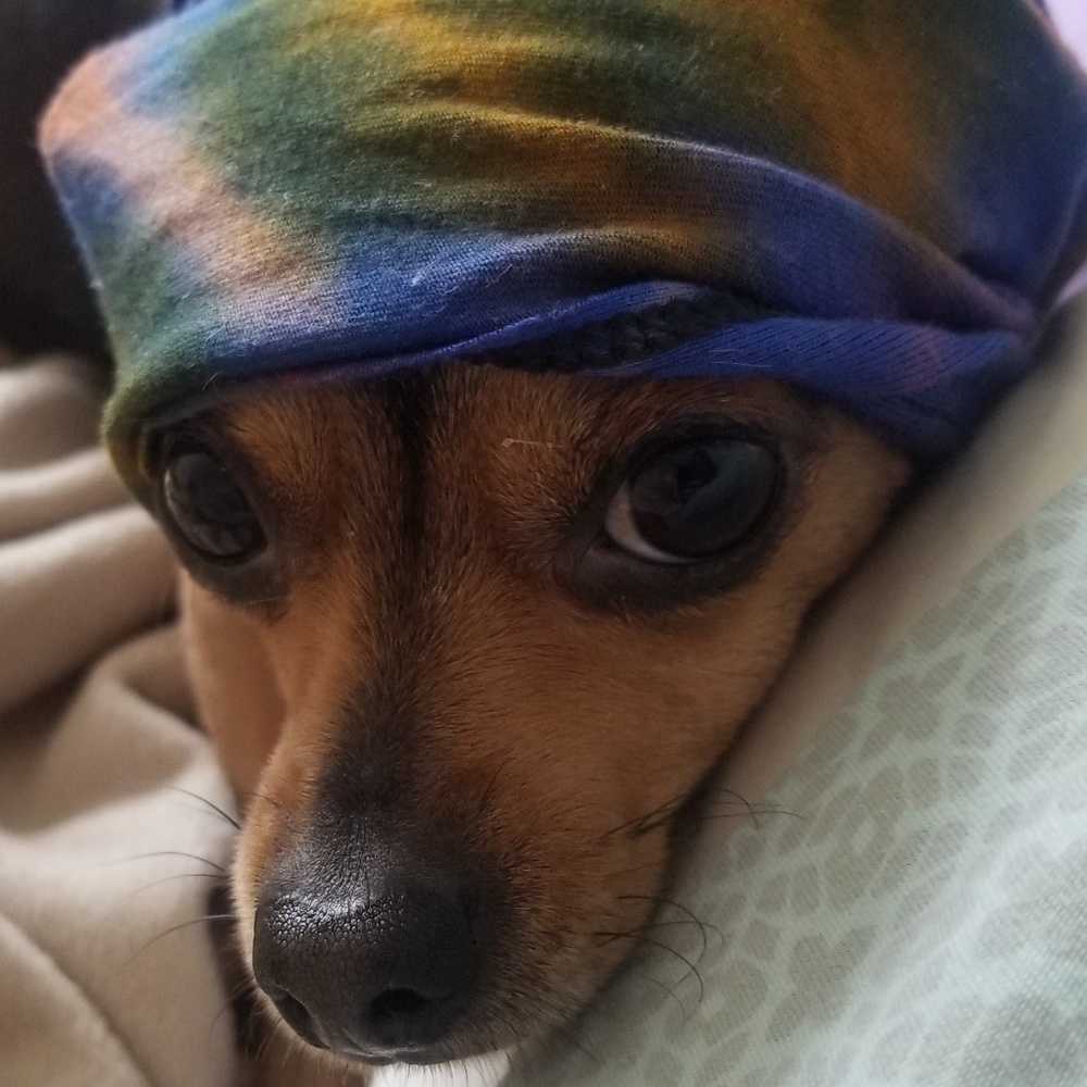 Meet your Posher, Nichole